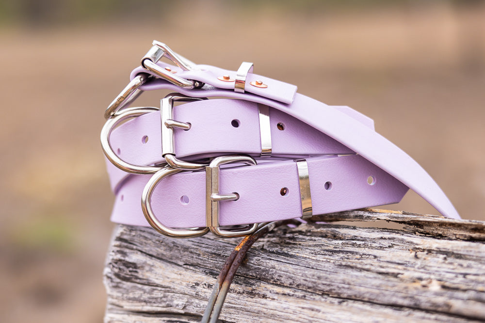 Dog Collar PVC 32mm - Lavender