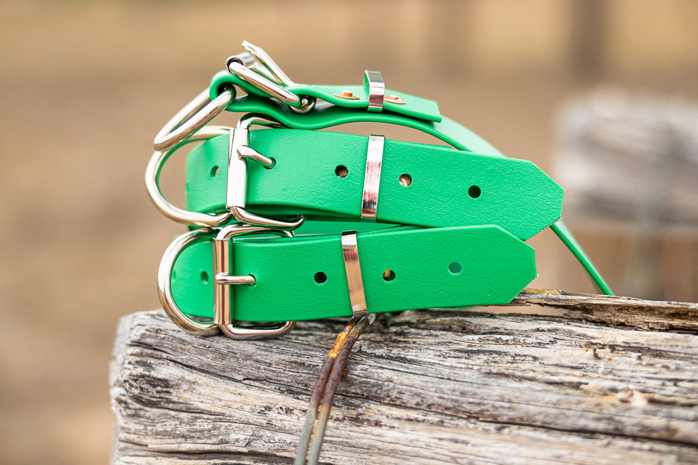 Dog Collar PVC 32mm - Emerald