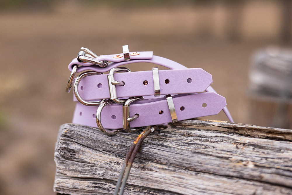 Pup Collar PVC 25mm - Lavender