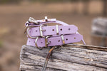 Pup Collar PVC 25mm - Lavender