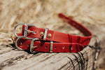 Pup Collar PVC 25mm - Burgundy