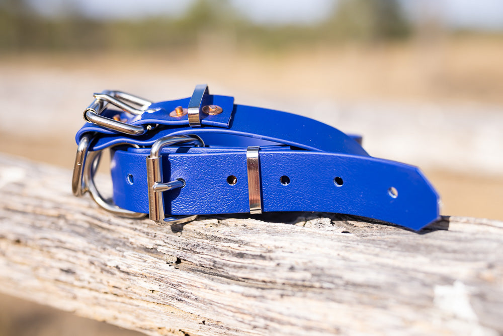 Dog Collar PVC 32mm - Royal Blue