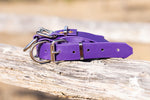 Dog Collar PVC 32mm - Dark Purple