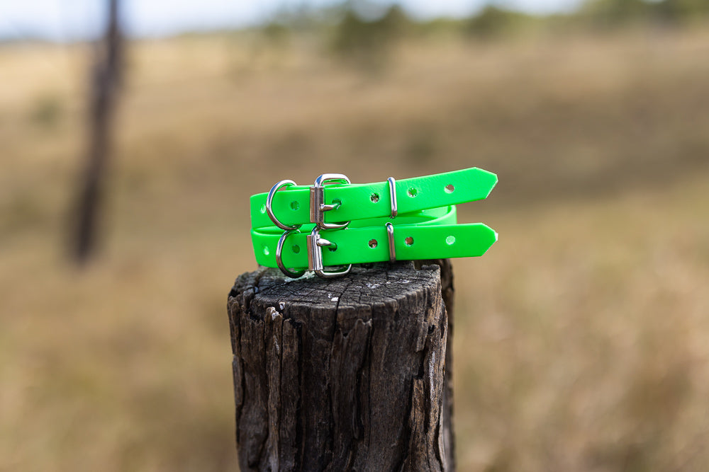 Extra Small Biothane Pup Collar 19mm - Bright Green