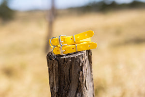 Extra Small Biothane Pup Collar 19mm - Yellow