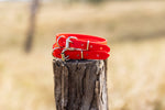 Extra Small Biothane Pup Collar 19mm - Red