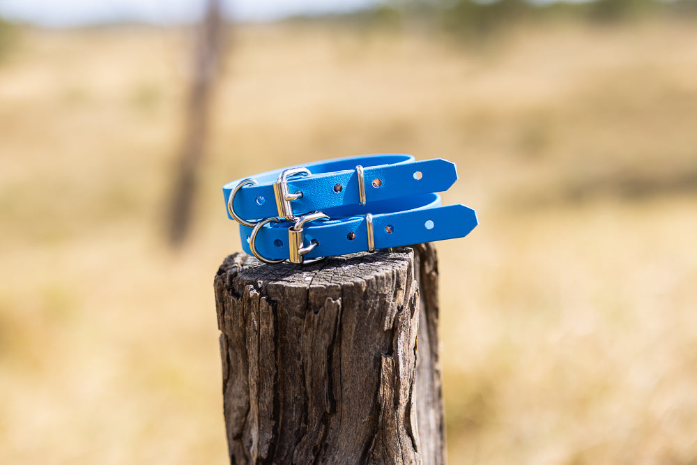 Extra Small Biothane Pup Collar 19mm - Blue