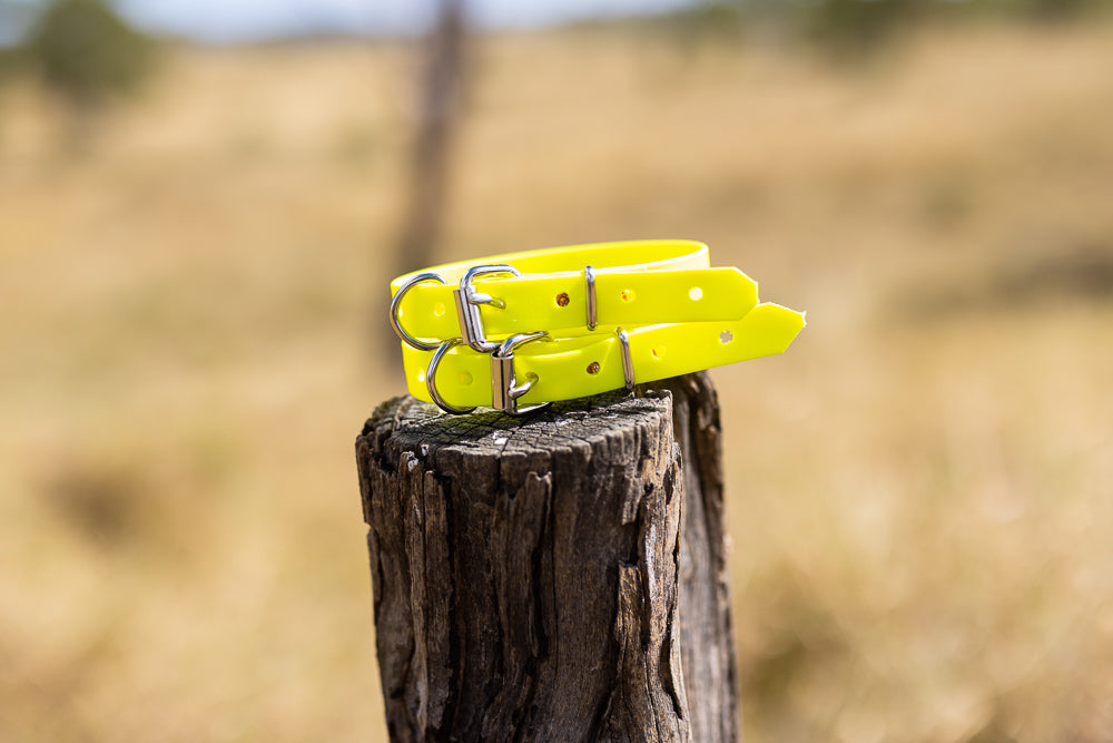 Extra Small Biothane Pup Collar 19mm - Bright Yellow