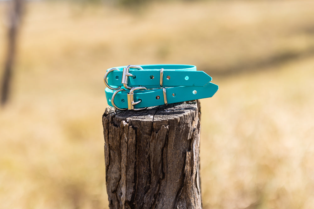 Extra Small Biothane Pup Collar 19mm - Teal