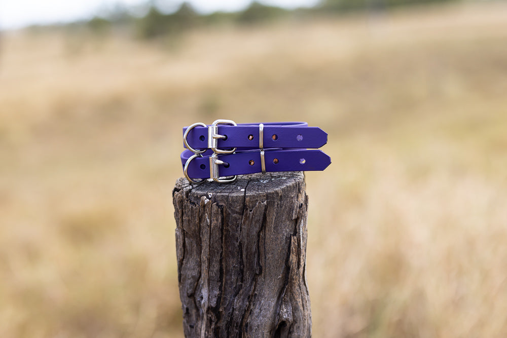 Extra Small Biothane Pup Collar 19mm - Purple