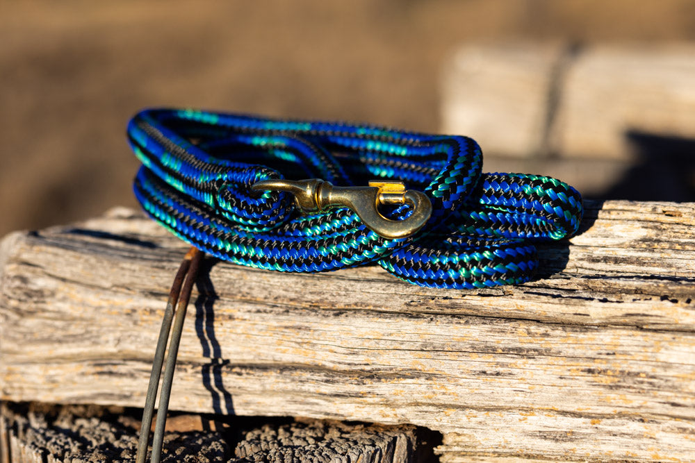 Dog Lead - Blue Teal