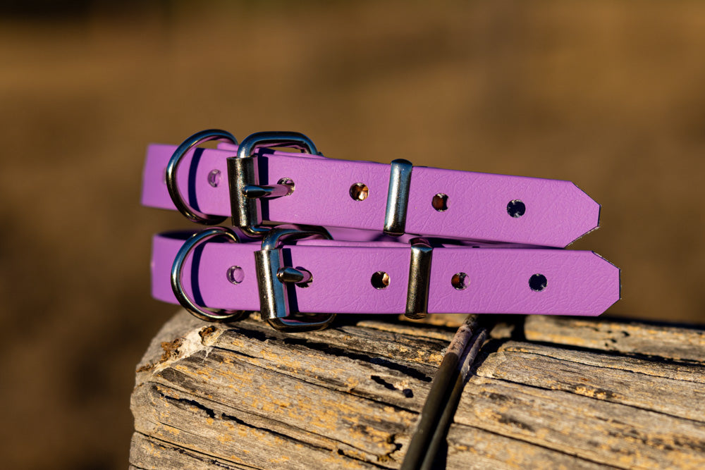 Extra Small Biothane Pup Collar 19mm - Amethyst