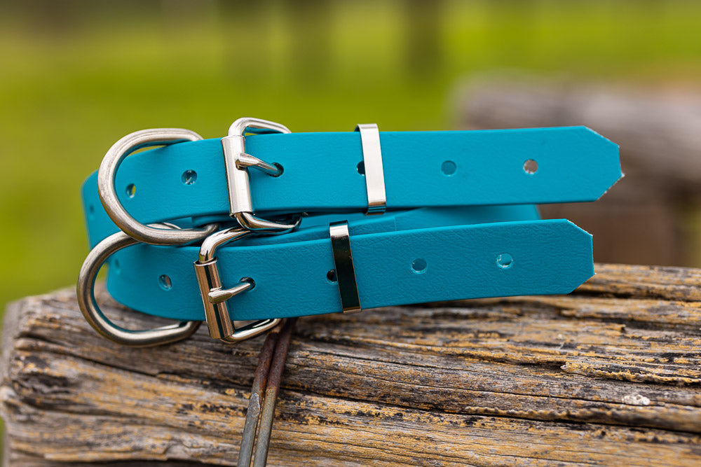 Dog Collar Biothane 25mm - Lagune Blue