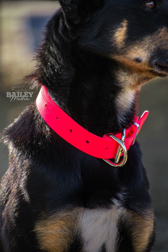 Dog Collar PVC 32mm x 55cm - Fluro Pink