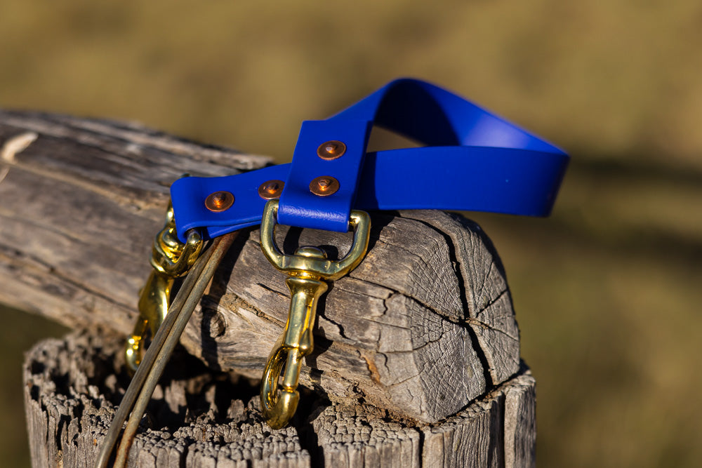 Ute Tie Biothane 25mm - Royal Blue