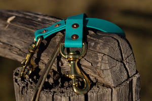 Ute Tie Biothane 25mm - Teal