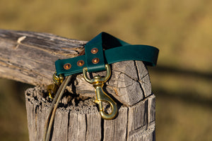 Ute Tie Biothane 25mm - Dark Green