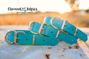 Dog Collar PVC 32mm - Teal