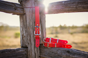 Pup Collar PVC 25mm - Red