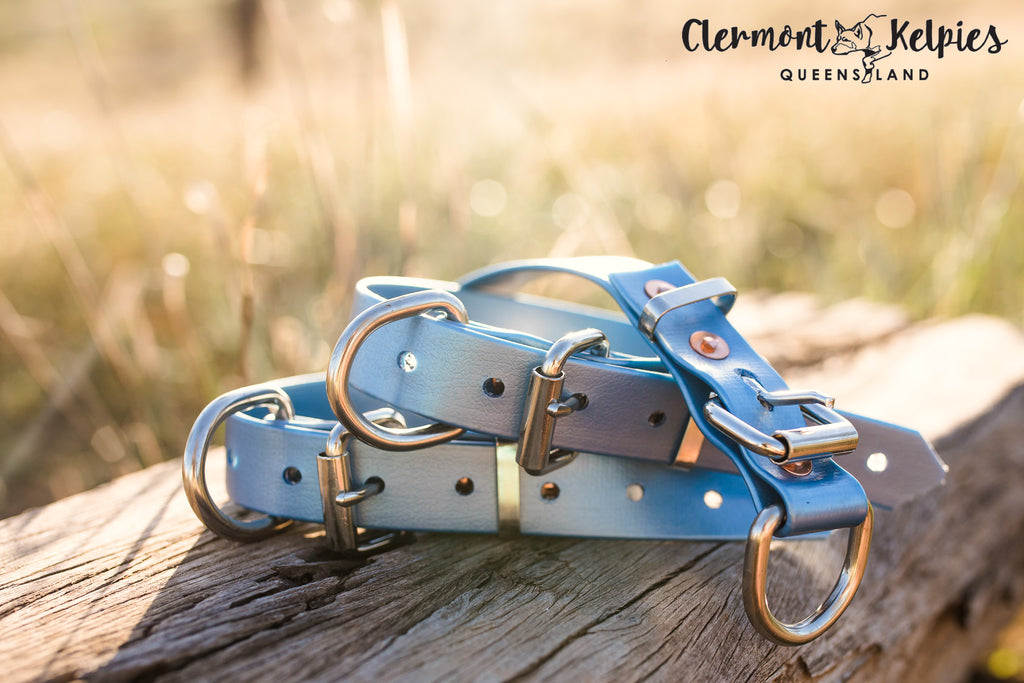 Pup Collar PVC 25mm - Smokey Blue