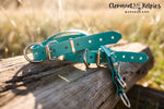 Pup Collar PVC 25mm - Teal