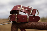 Dog Collar PVC 32mm - Maroon