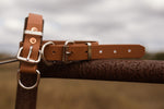 Dog Collar Biothane 25mm - Caramel