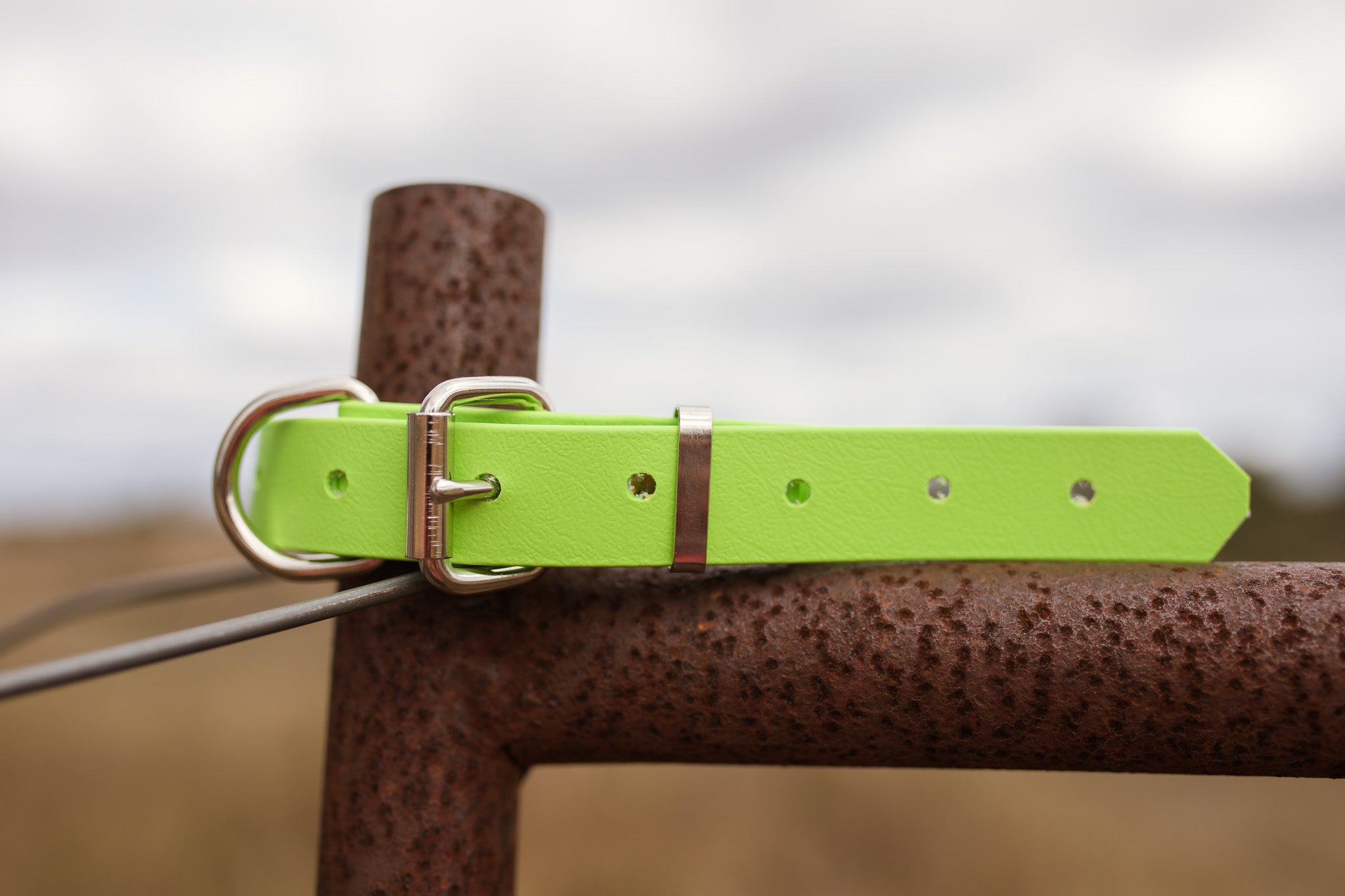 Dog Collar Biothane 25mm - Lime Green