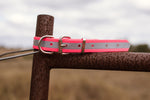 Dog Collar Reflective Biothane 25mm - Pink