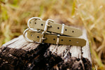 Dog Collar Biothane 25mm - Olive