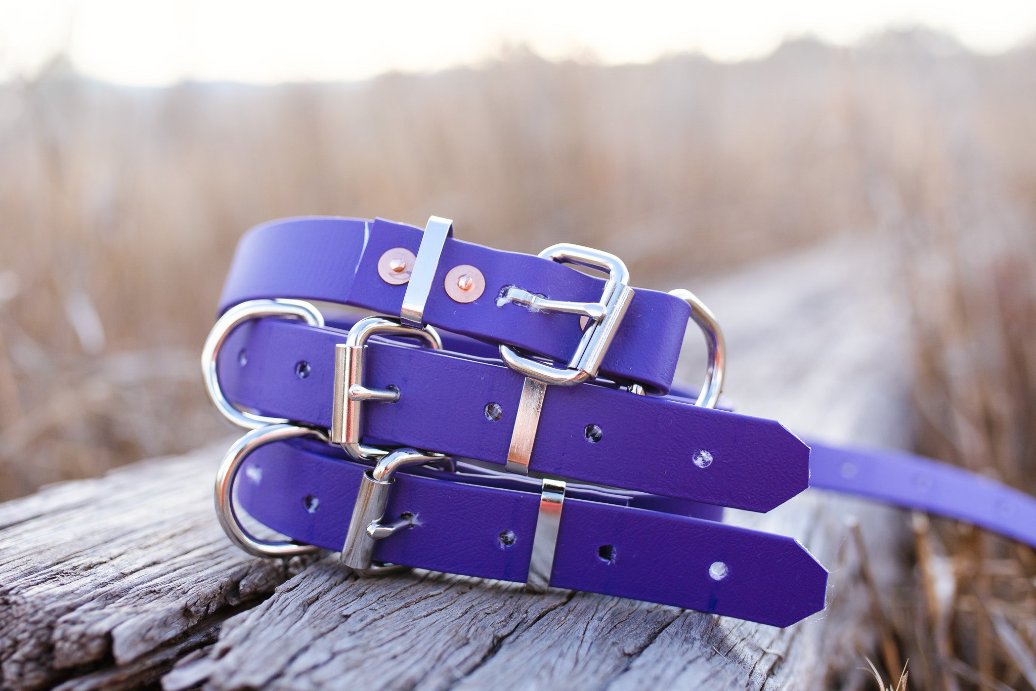 Dog Collar Biothane 25mm - Purple