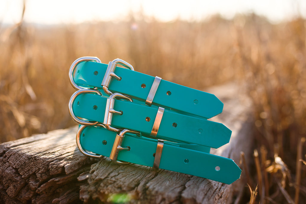 Dog Collar Biothane 25mm - Teal