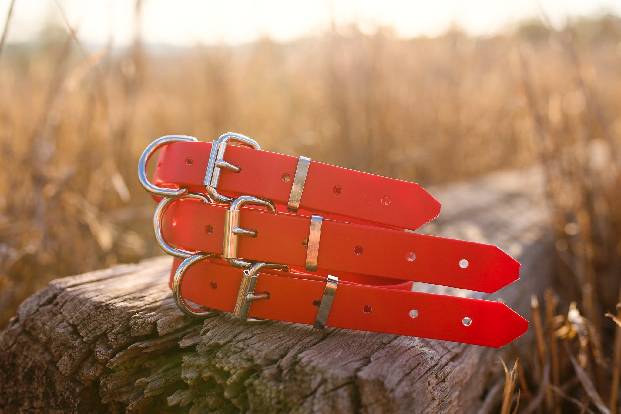 Dog Collar Biothane 25mm - Red