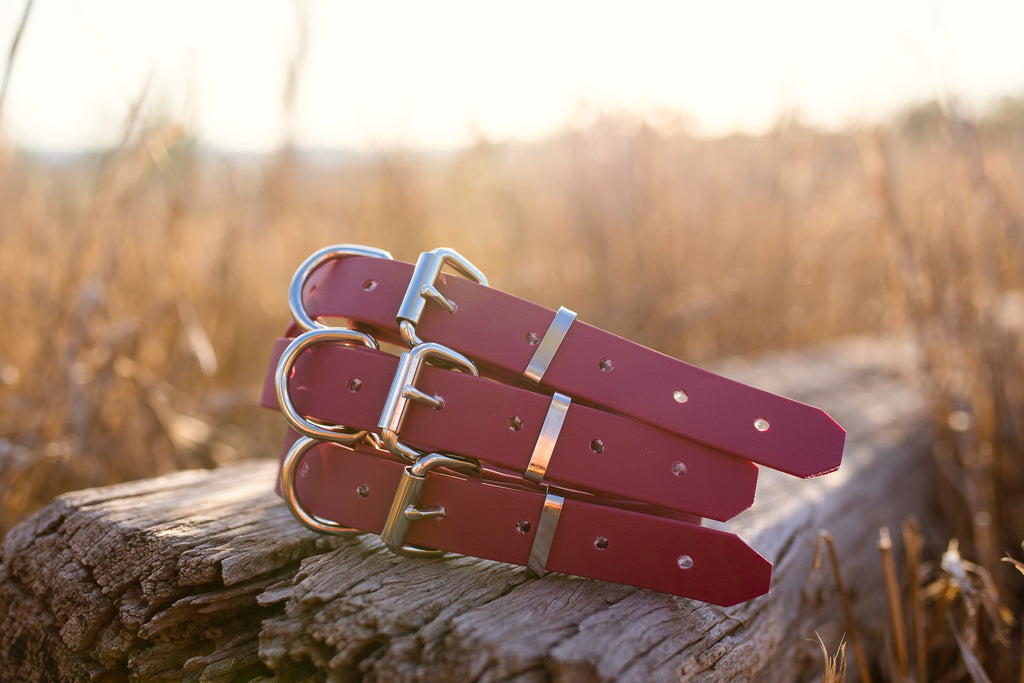 Dog Collar Biothane 25mm - Dark Red