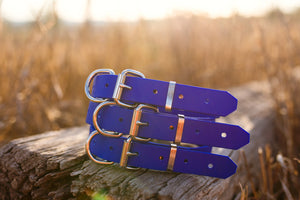 Dog Collar Biothane 25mm - Royal Blue