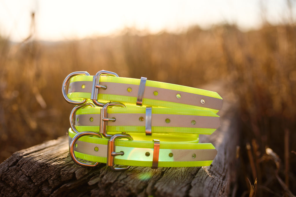 Dog Collar Reflective Biothane 25mm - Yellow