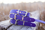 Dog Collar Biothane 25mm - Purple