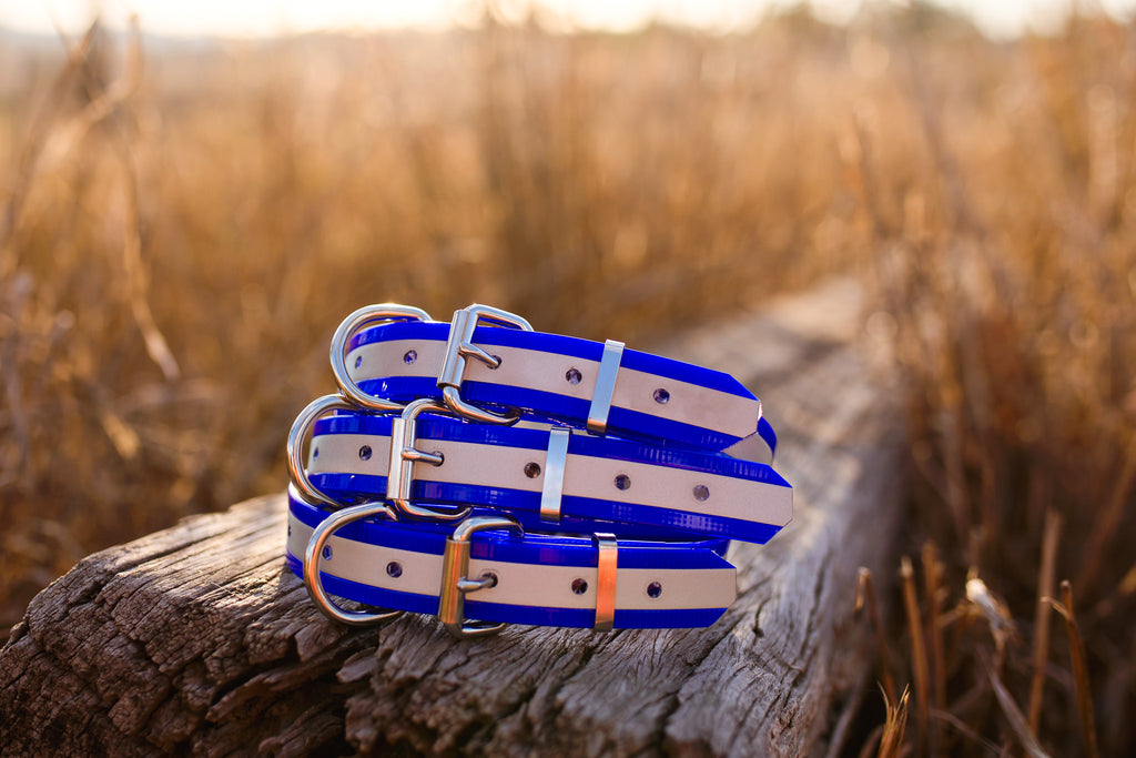 Dog Collar Reflective Biothane 25mm - Blue