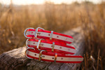 Dog Collar Reflective Biothane 25mm - Red