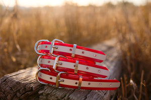 Dog Collar Reflective Biothane 25mm - Red