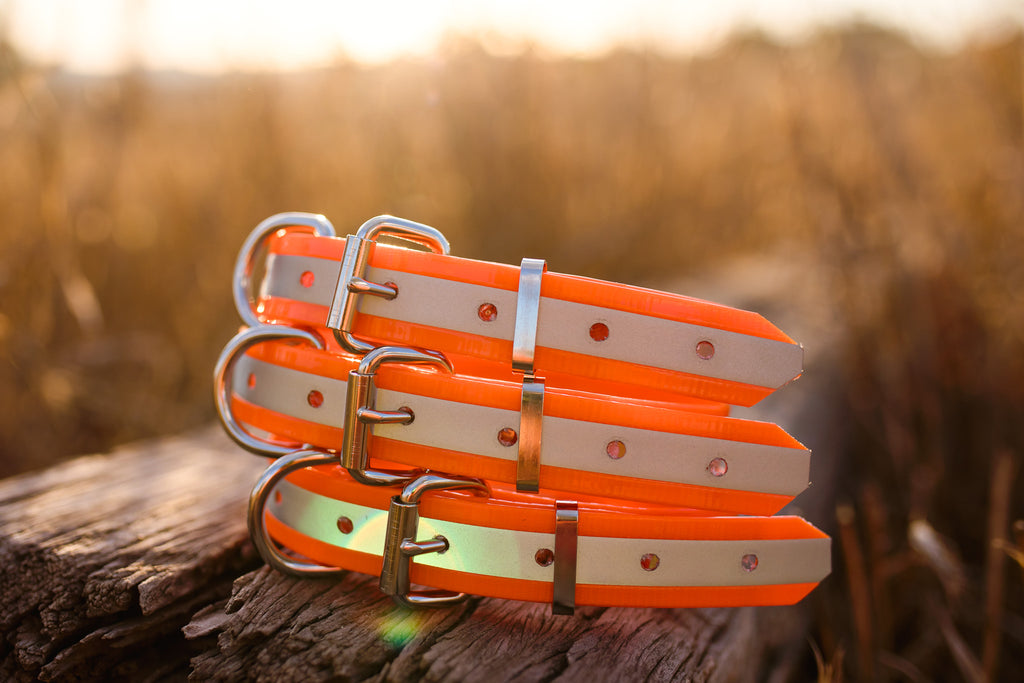 Dog Collar Reflective Biothane 25mm - Orange