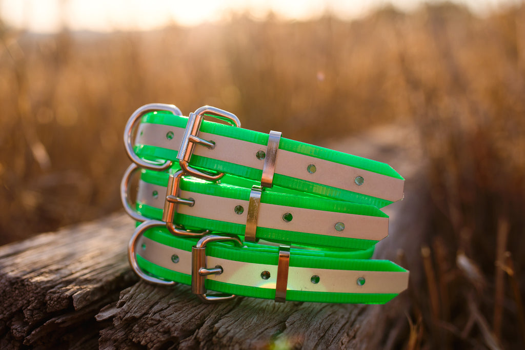 Dog Collar Reflective Biothane 25mm - Lime Green