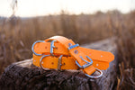 Dog Collar Biothane 25mm - Orange