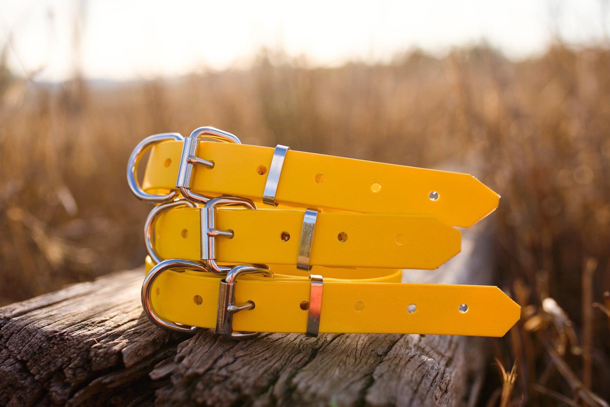 Dog Collar Biothane 25mm - Yellow