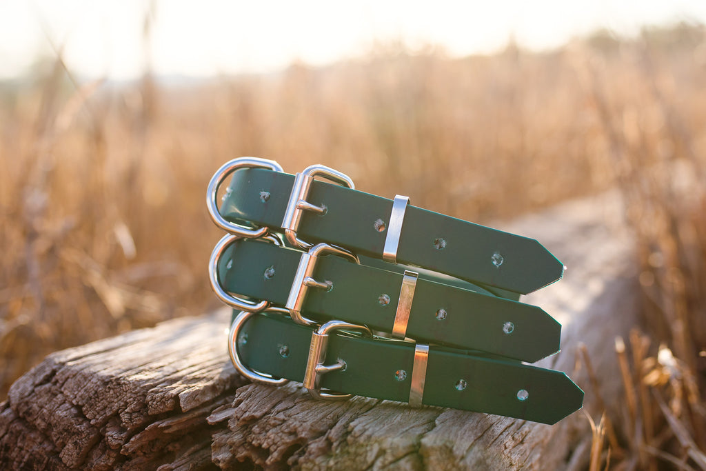 Dog Collar Biothane 25mm - Dark Green