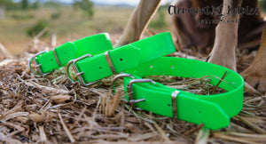 Dog Collar PVC 32mm - Fluro Green