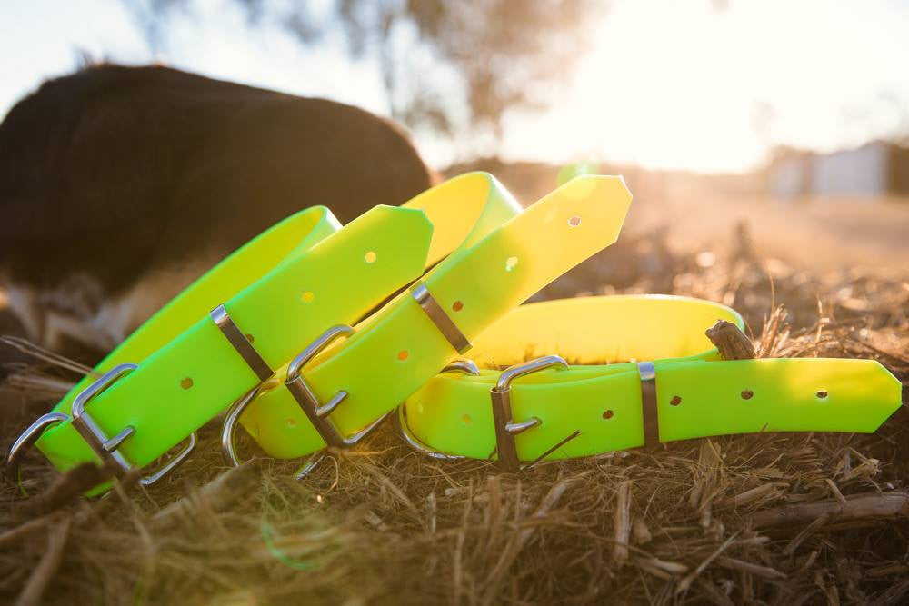 Dog Collar PVC 32mm - Fluro Yellow