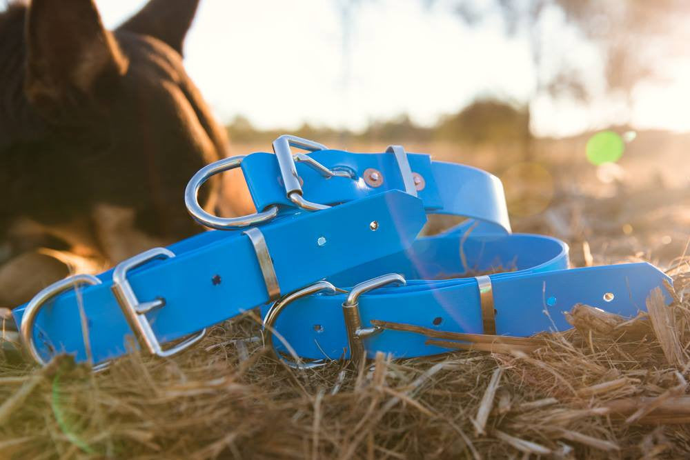 Dog Collar PVC 32mm - Light Blue