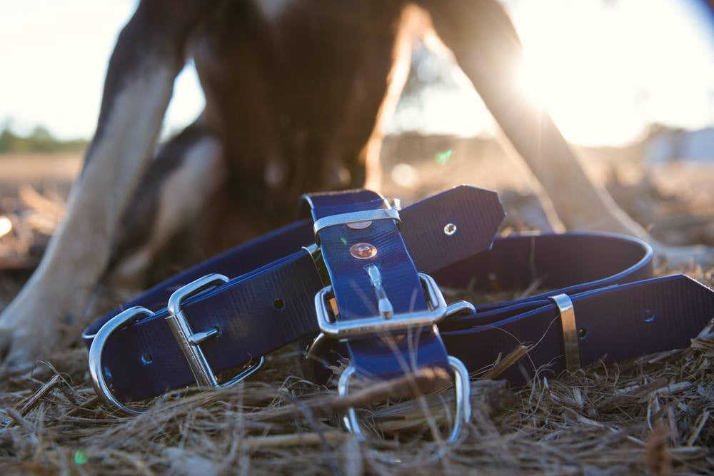 Dog Collar PVC 32mm - Navy