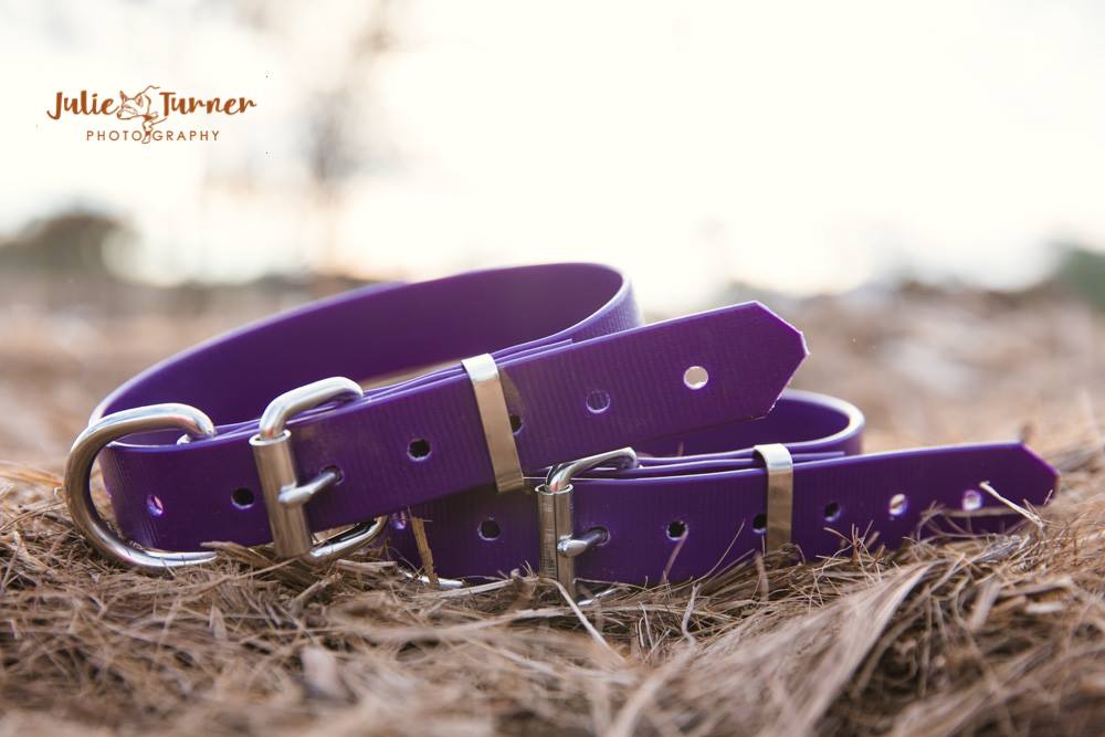 Pup Collar PVC 25mm - Dark Purple